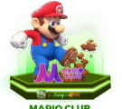 MARIO CLUB